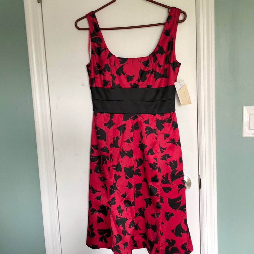 Donna Ricco NY beautiful satin dress with lining